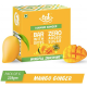 Mango Ginger Healthy Energy Bars - CGP-3214