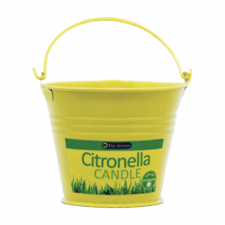 Citronella Bucket Candle - CGP-3473
