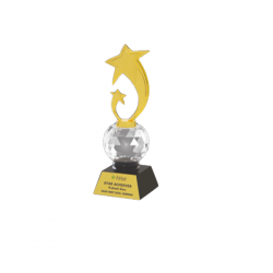 Acrylic, Crystal and Metal Trophy L 10” (CGT- 9358)