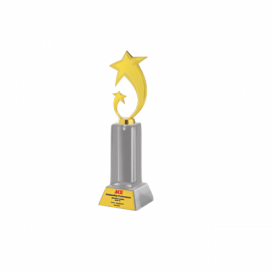 Acrylic and Metal Trophy L 12” (CGT- 9353)