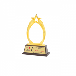 Wooden and Metal Trophy L 10.5” (CGT- 9359)