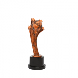 Wooden Trophy Size: L 12.5”(CGT- 339)