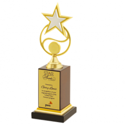 Wooden and Metal Trophy : Size: L 11.75” (CGT- 369)