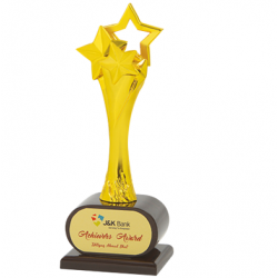 Wooden and Metal Trophy : Size: L 12.5” (CGT- 373)