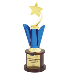 Wooden and Metal Trophy : Size: L 13.5” (CGT- 380).