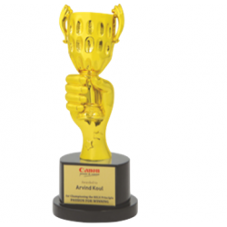 Wooden and Metal Trophy : Size: L 11” (CGT- 9326)
