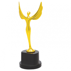 Wooden and Metal Trophy : Size: L 13” (CGT- 9328)